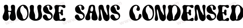 House Sans Condensed Bold字体转换